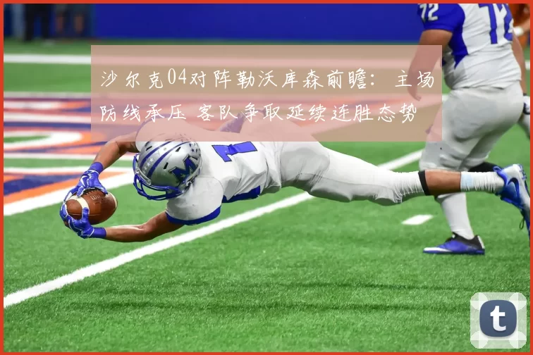 沙尔克04对阵勒沃库森前瞻：主场防线承压 客队争取延续连胜态势