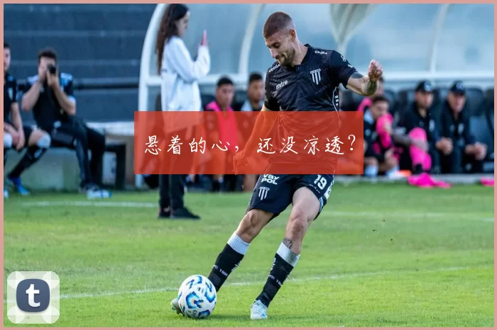 悬着的心，还没凉透？