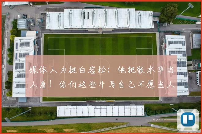 媒体人力挺白岩松：他把张水华当人看！你们这些牛马自己不愿当人