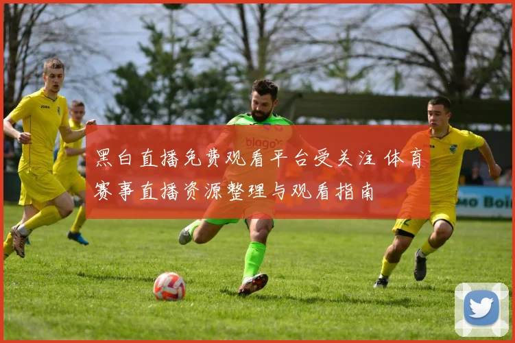 黑白直播免费观看平台受关注 体育赛事直播资源整理与观看指南