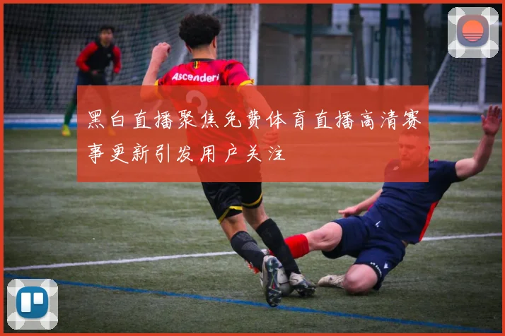 黑白直播聚焦免费体育直播高清赛事更新引发用户关注