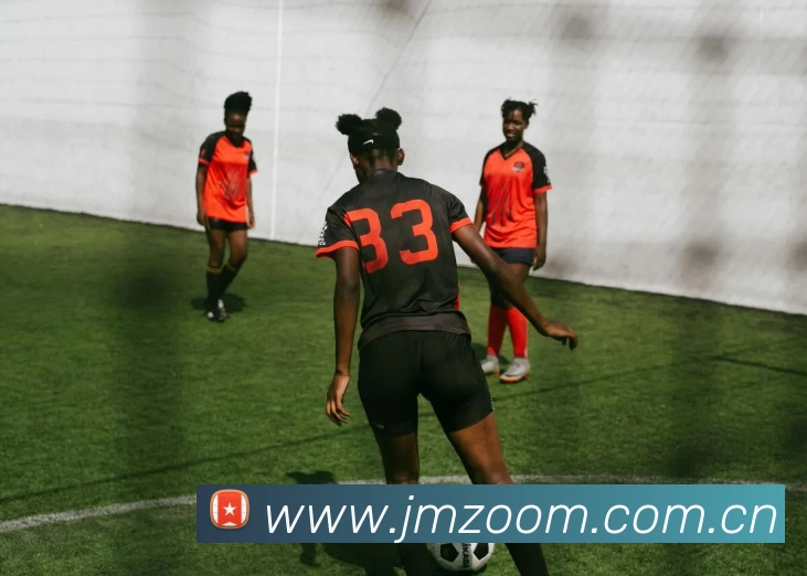 开云官方版网站登录入口 - 开云online(中国)发展历程