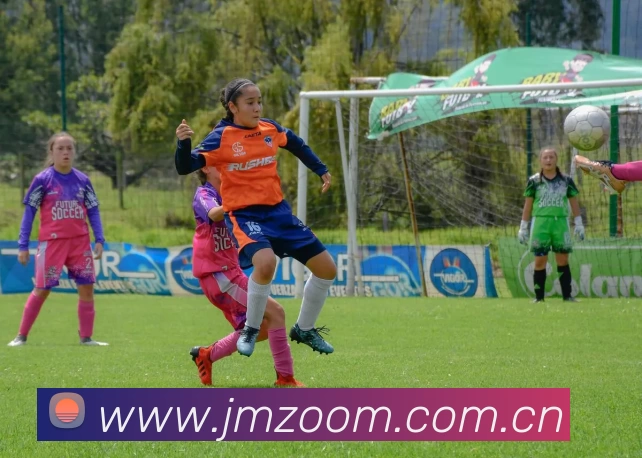 开云(中国)Kaiyun·官方网站 - 登录入口品牌故事